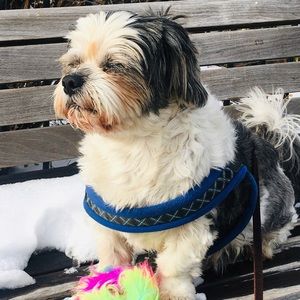 Meet your Posher, Jenniffer